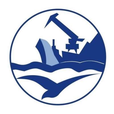 Лесосибирский порт отчет за 2024 по РСБУ. Внебиржевые акции для многих инвесторов это выход