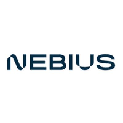 Nebius отчет за 2024 год. Фиксируем результаты для дальнейших наблюдений