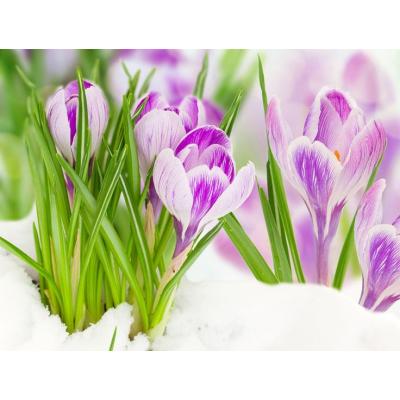 Взгляд Алёнки на рынок 2025.03.03. Обстановка улучшается в отличие от настроений