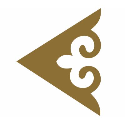 Air Astana отчет за 2024 год. Новая дивидендная политика