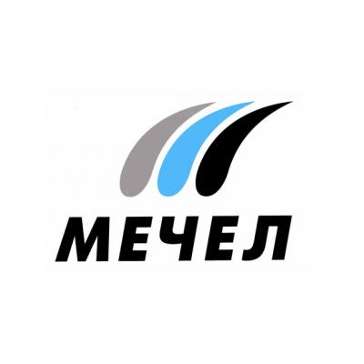 ГОСА Мечел 2025