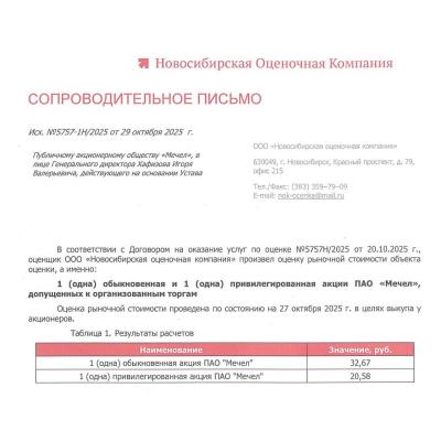 Независимый оценщик оценил акции Мечел для выкупа - тг канал КИДОСЫ на фондовом рынке