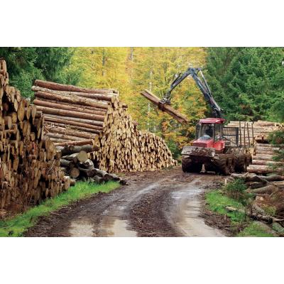 ИТОГИ ГОДА ОТ ИНТЕРФАКСА: ЛПК в затяжном кризисе, или как сварить кашу без топора