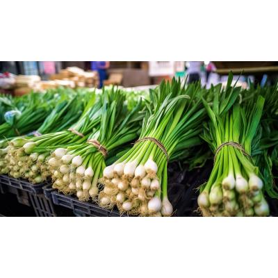 Начали приходить дивиденды ЛУКОЙЛа - значимая подпитка для рынка