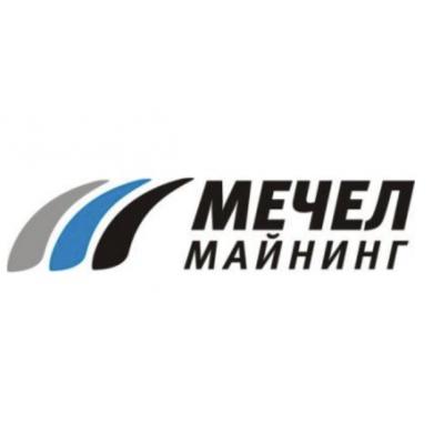 Мечел-Майнинг отчет за 2025 по РСБУ. Долг есть, процентов нет