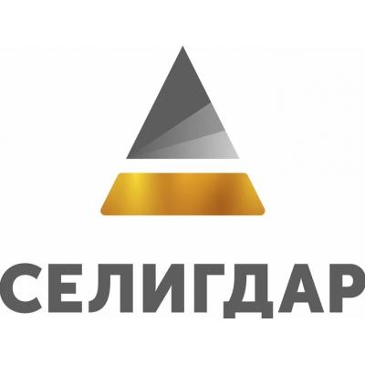 Рустам Шакиров: Селигдар. Что не так с ценой 35 рублей и при чём тут оловянный спин-офф