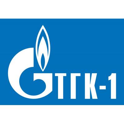 Запись №1. ТГК-1, Зачем купил, в чем идея, что жду и почему. О новом разделе elvis.capital