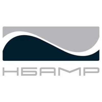 НБАМР отчет за 2022 по РСБУ. Рыбная акция