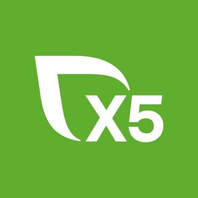 ИИ №134 X5 Group инвестиции в лидера российского ритейла