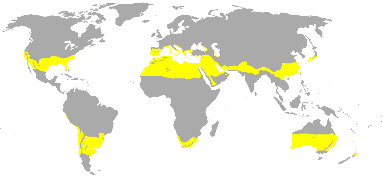 8809568