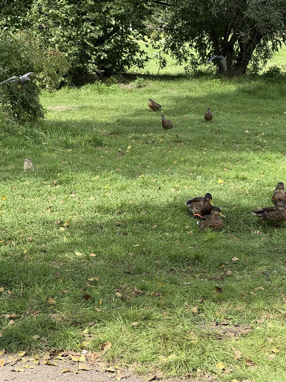 photo_2025-08-26_14-39-45