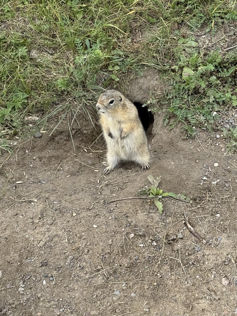 photo_2025-08-26_14-39-57